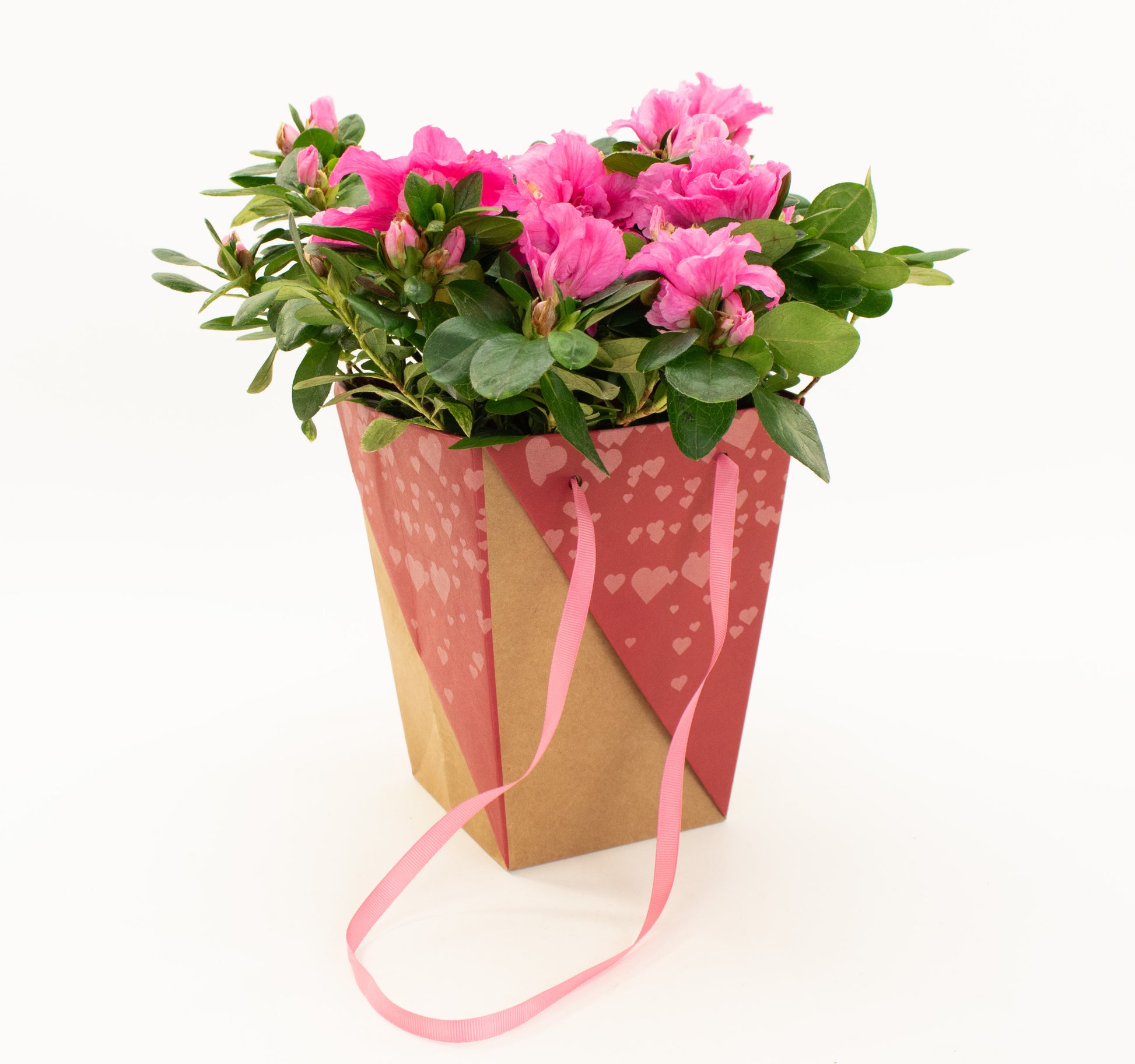 Dulce Amor Vase Bag with flowers